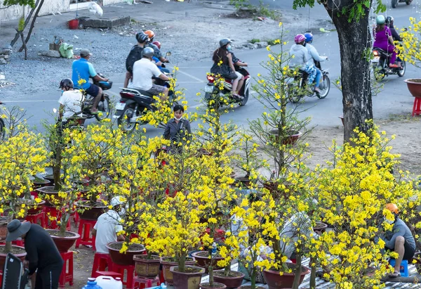 stock image Ho Chi Minh City, Vietnam - January 31st, 2022: Bustle of buying flowers at flower market, locals buy flowers for decoration purpose the house on Lunar New Year in Ho Chi Minh City, Vietnam.