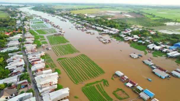 ベトナム国境地域 空中ビュー上のハウ川に沿って浮動村 川の流域には メコンデルタの農業と経済発展のための多くの魚介類やアルバムが含まれています — ストック動画