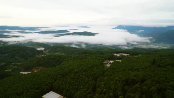 Morska Mgła Górze Fale Chmur Tle Szczyty Pokryte Sosnowym Lasem — Wideo stockowe