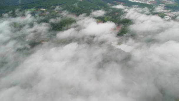 Morska Mgła Górze Fale Chmur Tle Szczyty Pokryte Sosnowym Lasem — Wideo stockowe