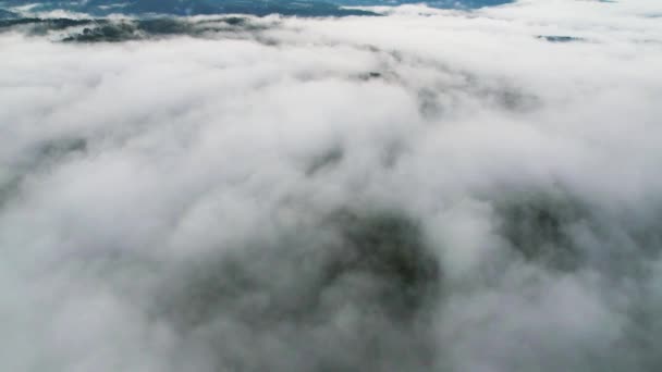 Временной Туман Горе Волны Облаков Фоне Вершин Покрыты Сосновым Лесом — стоковое видео