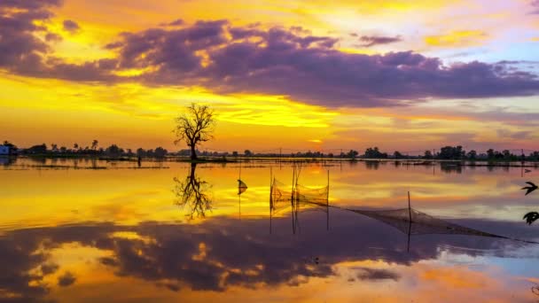 Die Zeitraffer Sonnenuntergangslandschaft Den Riesigen Auen Feuchtgebieten Sie Bringen Schwemmland — Stockvideo