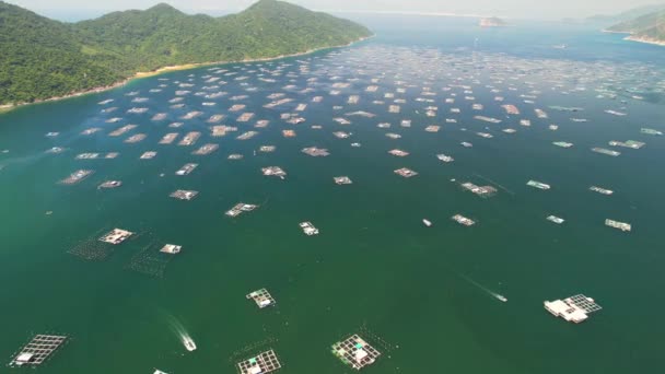 Vung Bay Seen Includes Fishing Rafts Fishing Boats Fishermen Shelter — Vídeo de stock