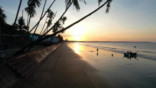 Úsvit Pláži Nakloněnými Kokosovými Stromy Dlouhou Písečnou Pláží Krásnou Zlatou — Stock video