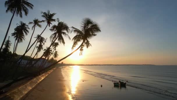 Úsvit Pláži Nakloněnými Kokosovými Stromy Dlouhou Písečnou Pláží Krásnou Zlatou — Stock video