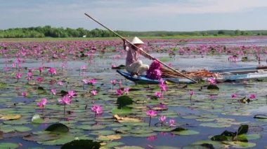 Tay Ninh, Vietnam - January 1st, 2022: A farmer rowing a boat harvesting water lily in a flooded field on a winter morning, this is her daily livelihood to support family in Tay Ninh, Vietnam