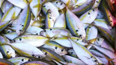 Taze yakalanmış sarı çizgili Scad balığı Vietnam 'ın orta kıyı balıkçı köyündeki taze deniz ürünleri pazarında satılıyor.