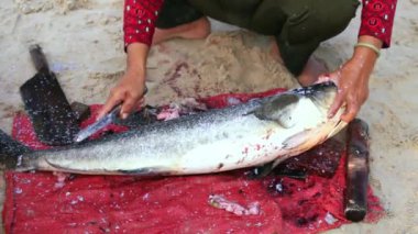 Fishermen are scaling clean cobia and handing it over to customers at a fish market in a coastal fishing village in central Vietnam