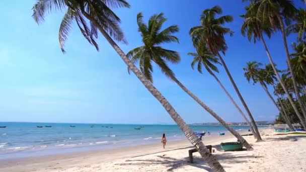 夏の午後に熱帯の海に向かって傾いたヤシの木が傾斜しています 休息とリラクゼーションのための美しい砂浜 — ストック動画