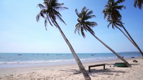 夏の午後に熱帯の海に向かって傾いたヤシの木が傾斜しています 休息とリラクゼーションのための美しい砂浜 — ストック動画
