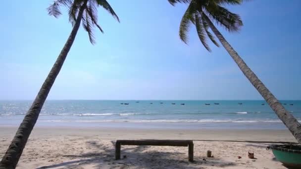 Nachylone Drzewa Kokosowe Skłaniające Się Tropikalnemu Morzu Letnie Popołudnie Piękna — Wideo stockowe