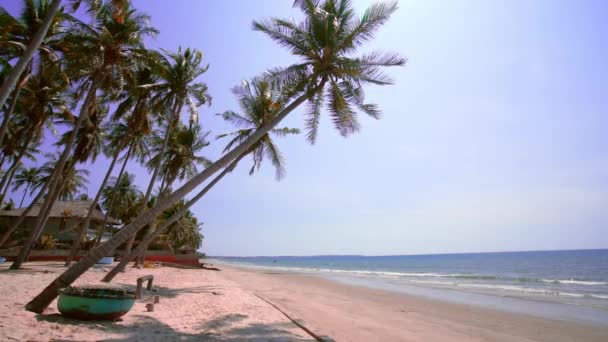 夏日下午 倾斜的椰子树向热带海域倾斜 美丽的沙滩休息和放松 — 图库视频影像