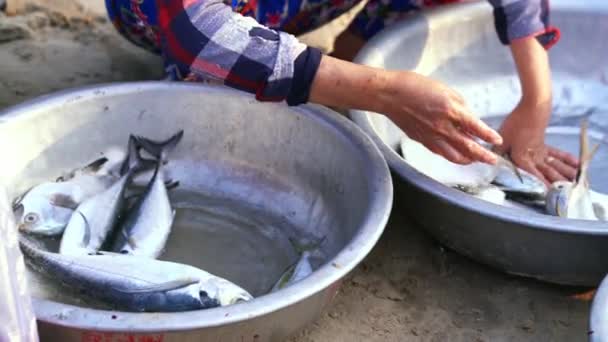 越南中部一个沿海渔村的一个海鲜市场上 一名渔民正在挑选新捕获的马鲭鱼 准备在市场上出售 — 图库视频影像