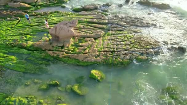 越南梅奈 2023年2月10日 在吸引游客周末游览的Co Thach海滩 岩石和苔藓奇观 越南梅奈奇异岩石的海景 — 图库视频影像
