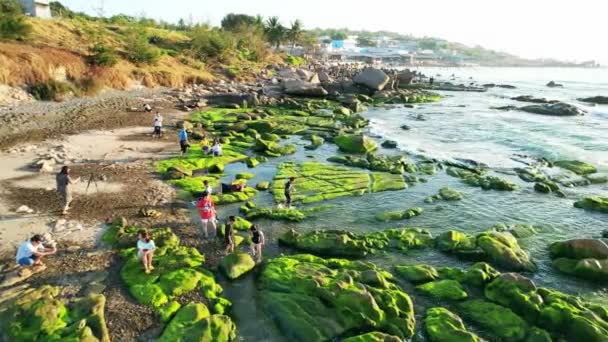 越南梅奈 2023年2月10日 在吸引游客周末游览的Co Thach海滩 岩石和苔藓奇观 越南梅奈奇异岩石的海景 — 图库视频影像
