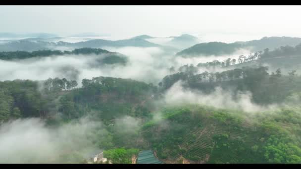 Vista Aérea Dos Subúrbios Xuan Tho Perto Cidade Lat Manhã — Vídeo de Stock