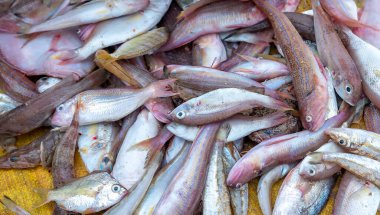 Orta Vietnam 'daki deniz ürünleri pazarında satılan balıklardan sonra. Bu insan sağlığı için besleyici yüksek protein gıdalarıdır.