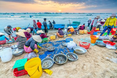 Mui Ne, Vietnam - 1 Temmuz 2022: Mui Ne balık pazarı, Vietnam 'ın orta kesimindeki Mui Ne eyaletleri için deniz ürünleri alıp satmak için bir kıyı balıkçılığı köyü