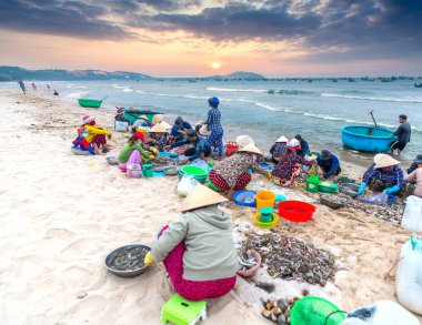Mui Ne, Vietnam - 1 Temmuz 2022: Mui Ne balık pazarı, Vietnam 'ın orta kesimindeki Mui Ne eyaletleri için deniz ürünleri alıp satmak için bir kıyı balıkçılığı köyü