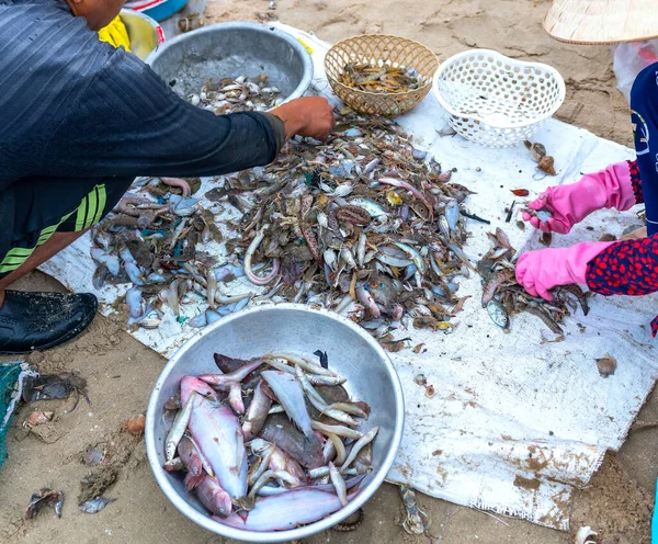 Zeevis Vangst Verkocht Vismarkt Centraal Vietnam Dit Een Voedzaam Eiwitrijk — Stockfoto