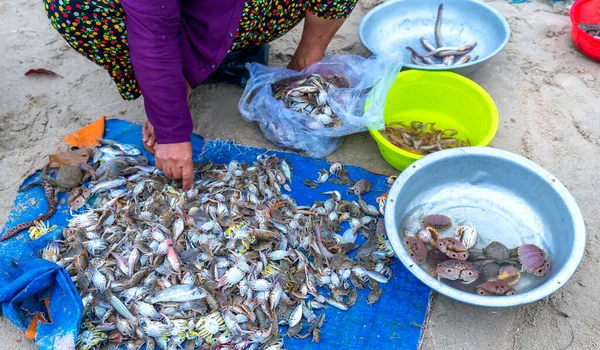 Peixes Mar Após Capturas Vendidas Mercado Frutos Mar Centro Vietname — Fotografia de Stock