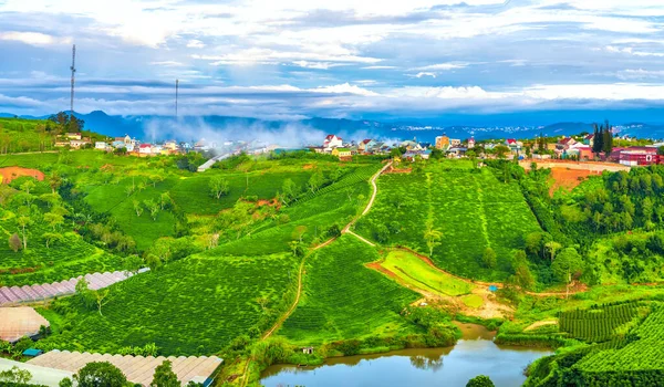 Scenery Hillside Tea Planted Beautiful Valley Misty Highlands Giant Wind — Stock Photo, Image