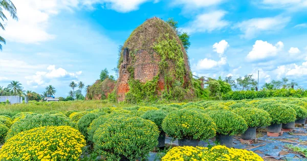 フーソン チョLach ベンチェ ベトナムの春の初めに菊の庭で放棄されたレンガ窯 かつてこの場所は メコンデルタ最大の花市場取引センターでした — ストック写真