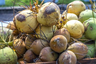 Hindistan cevizleri pazarda satılır. Vücut için vitamin ve mineral açısından zengin besleyici içecekler.