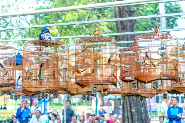 Chi Minh City Vietnam Januari 2023 Fågelkvitter Tävling Tao Dan — Stockfoto