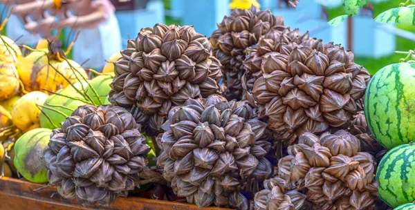 A group of Nipa palm\'s fruits from the mangrove forest are sold at the market. This is a fruit food rich in minerals useful for humans