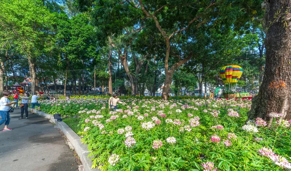 호치민시 베트남 2023 관광객을 유치하기 클레오메 스피노사 꽃밭과 공원에서 — 스톡 사진