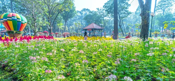 Chi Minh Ville Vietnam Janvier 2023 Écologie Des Fleurs Jardin — Photo