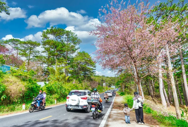 Lat Wietnam Stycznia 2023 Ruch Rogu Ruchliwej Krzywej Jak Drzewa — Zdjęcie stockowe