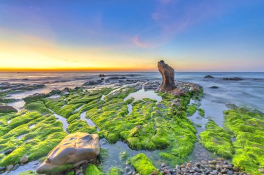 Rocky plajı ve yeşil yosunlar gündoğumunda gökyüzünde Orta Vietnam 'da güzel bir plajda. Vietnam 'ın deniz manzarası Tuhaf kayalar.
