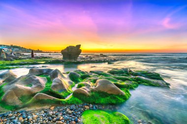 Rocky plajı ve yeşil yosunlar gündoğumunda gökyüzünde Orta Vietnam 'da güzel bir plajda. Vietnam 'ın deniz manzarası Tuhaf kayalar.