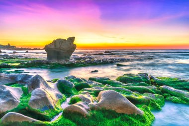 Rocky plajı ve yeşil yosunlar gündoğumunda gökyüzünde Orta Vietnam 'da güzel bir plajda. Vietnam 'ın deniz manzarası Tuhaf kayalar.