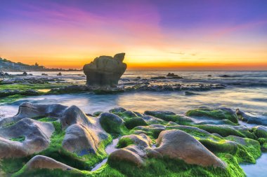 Rocky plajı ve yeşil yosunlar gündoğumunda gökyüzünde Orta Vietnam 'da güzel bir plajda. Vietnam 'ın deniz manzarası Tuhaf kayalar.