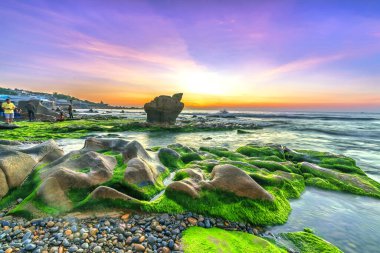 Rocky plajı ve yeşil yosunlar gündoğumunda gökyüzünde Orta Vietnam 'da güzel bir plajda. Vietnam 'ın deniz manzarası Tuhaf kayalar.