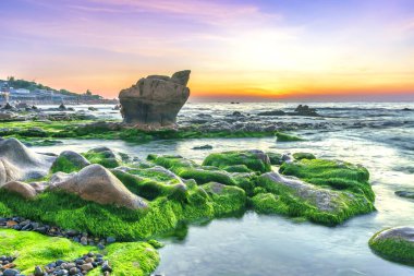 Rocky plajı ve yeşil yosunlar gündoğumunda gökyüzünde Orta Vietnam 'da güzel bir plajda. Vietnam 'ın deniz manzarası Tuhaf kayalar.