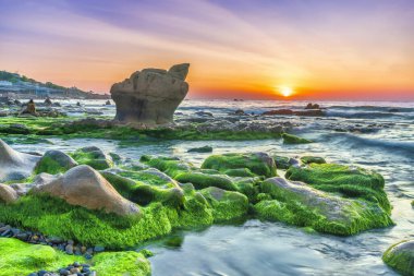 Rocky plajı ve yeşil yosunlar gündoğumunda gökyüzünde Orta Vietnam 'da güzel bir plajda. Vietnam 'ın deniz manzarası Tuhaf kayalar.