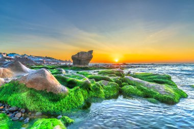 Rocky plajı ve yeşil yosunlar gündoğumunda gökyüzünde Orta Vietnam 'da güzel bir plajda. Vietnam 'ın deniz manzarası Tuhaf kayalar.