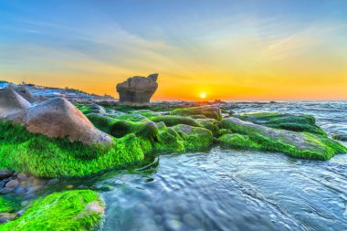 Rocky plajı ve yeşil yosunlar gündoğumunda gökyüzünde Orta Vietnam 'da güzel bir plajda. Vietnam 'ın deniz manzarası Tuhaf kayalar.