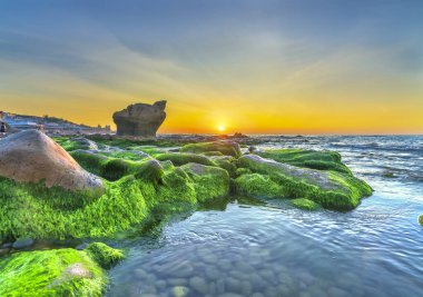 Rocky plajı ve yeşil yosunlar gündoğumunda gökyüzünde Orta Vietnam 'da güzel bir plajda. Vietnam 'ın deniz manzarası Tuhaf kayalar.