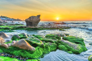Rocky plajı ve yeşil yosunlar gündoğumunda gökyüzünde Orta Vietnam 'da güzel bir plajda. Vietnam 'ın deniz manzarası Tuhaf kayalar.