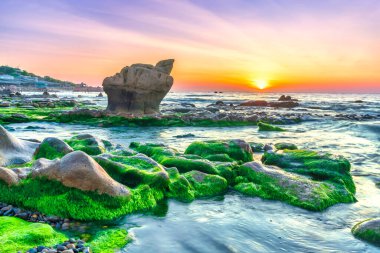 Rocky plajı ve yeşil yosunlar gündoğumunda gökyüzünde Orta Vietnam 'da güzel bir plajda. Vietnam 'ın deniz manzarası Tuhaf kayalar.