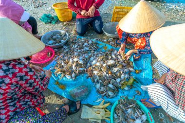 Phan Thiet, Vietnam - 12 Şubat 2023: Balık pazarı deniz manzarası insanlar sepette balık satışı için toplandı, kürek çeken balıkçılar Phan Thiet, Vietnam 'da bir balıkçı köyü getirdiler