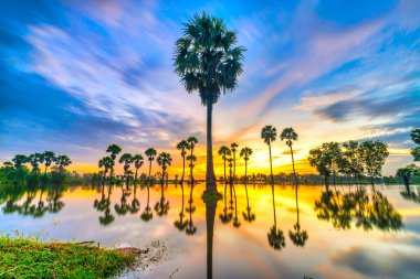 Dramatik bulutlu güzel doğa manzarası, siluetteki palmiye sıraları gün doğumunda nehrin yüzeyindeki suyu yansıtır.