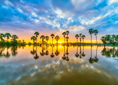 Dramatik bulutlu güzel doğa manzarası, siluetteki palmiye sıraları gün doğumunda nehrin yüzeyindeki suyu yansıtır.