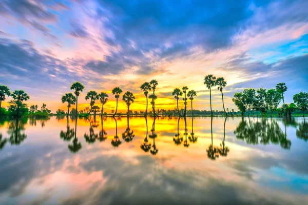 Dramatik Bulutlu Güzel Doğa Manzarası Siluetteki Palmiye Sıraları Gün Doğumunda — Stok fotoğraf