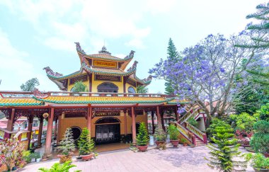 Da Lat, Vietnam - 11 Nisan 2023: Dalat, Vietnam 'daki evin bahçesinde Jacaranda ağacı çiçek açma mevsimi